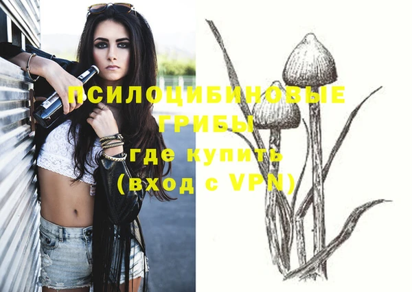 эйфоретик Балахна