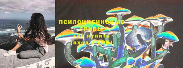 эйфоретик Балахна