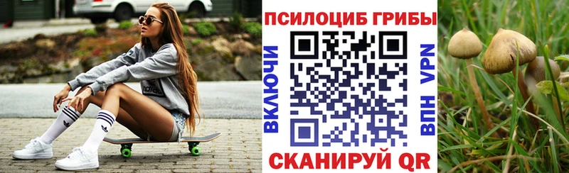 KRAKEN рабочий сайт  Большой Камень  Псилоцибиновые грибы MAGIC MUSHROOMS 